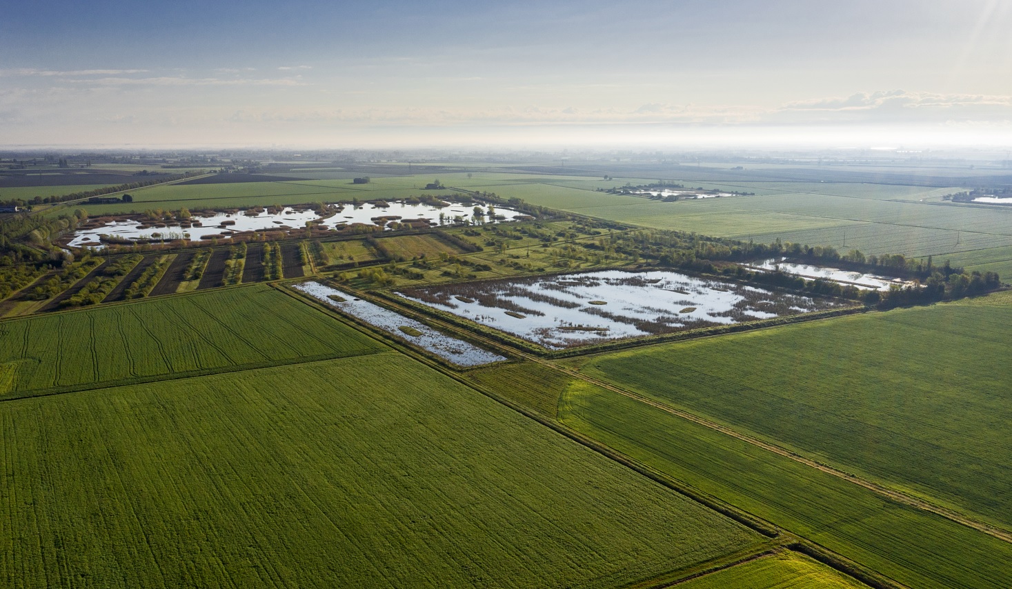 Genagricola 1851 e 3Bee:  test pilota nella tenuta di Spazzate (RA) per calcolare la biodiversità