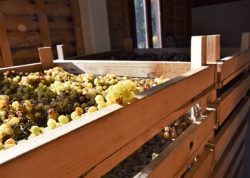 Valle dei Laghi in festa per la prima manifestazione enologica dell’anno