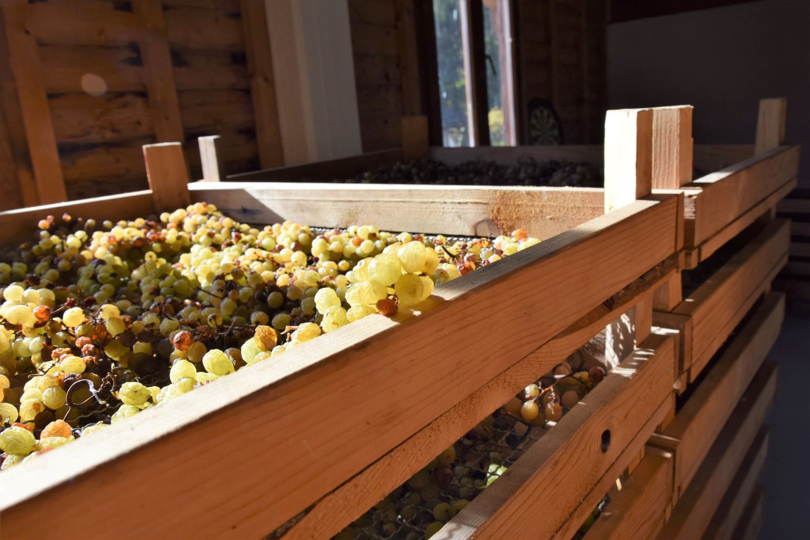 Valle dei Laghi in festa per la prima manifestazione enologica dell’anno