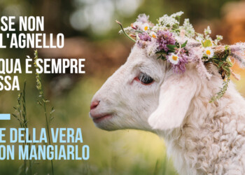 Un’immagine deliziosa per la campagna OIPA “Se non mangi l’agnello, la Pasqua è sempre la stessa”