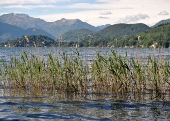 Lago d’Orta: il bacino lacustre, una ricerca svela lo stato di salute