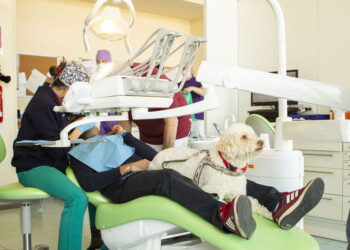 Dog Pet Therapy del progetto nazionale “Basta Una Zampa”, ideato e promosso da For a Smile Onlus e sostenuto da Elanco