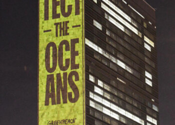 Raggiunto all’ONU l’accordo per un trattato globale sugli oceani, GREENPEACE: «un momento storico»