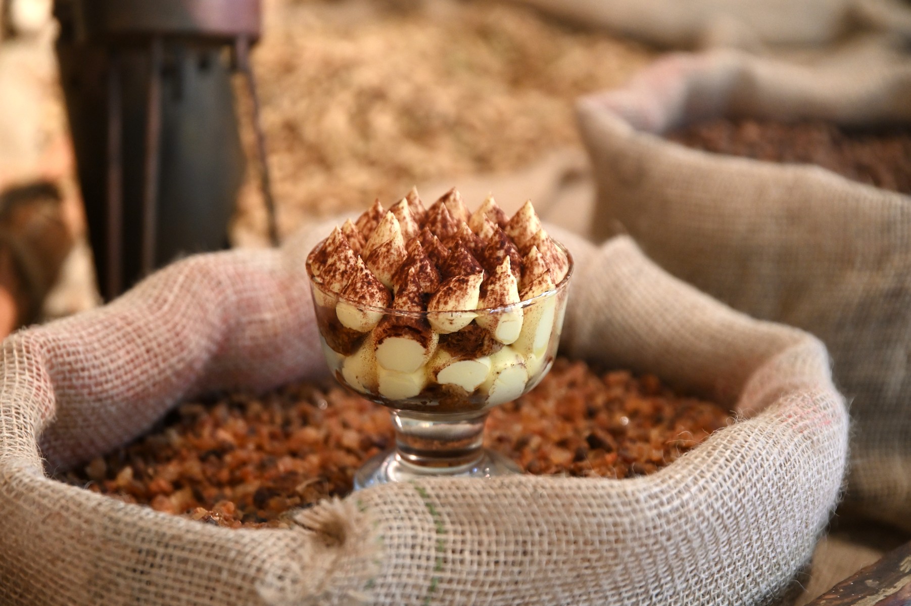 Tiramisù day con lo Stregamisù
