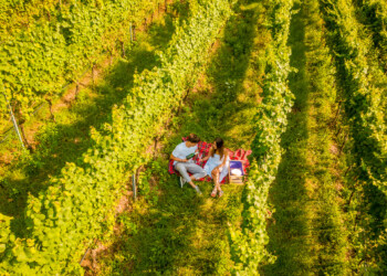 La primavera in Trentino si vive con le Gemme di Gusto