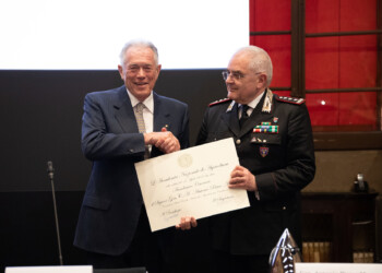 Agricoltura e foreste: il binomio vincente per la tutela ambientale del futuro