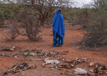 La crisi climatica è un’emergenza umanitaria