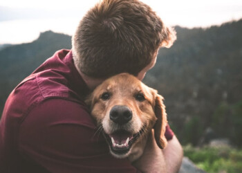 Pet Day: gli animali domestici arricchiscono la nostra vita e migliorano le nostre giornate