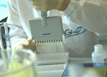 emendamento al Decreto Siccità che consente la sperimentazione in campo delle Tecniche di Evoluzione Assistita (TEA).