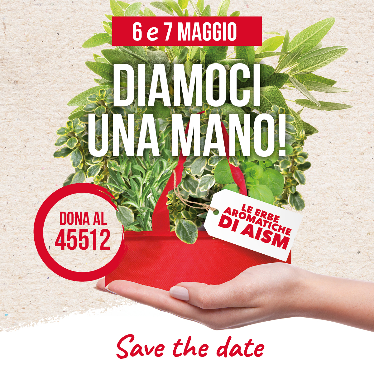 Tornano il 6 e il 7 maggio le “Erbe Aromatiche” di AISM, donare un aiuto concreto alle persone con sclerosi multipla e patologie correlate