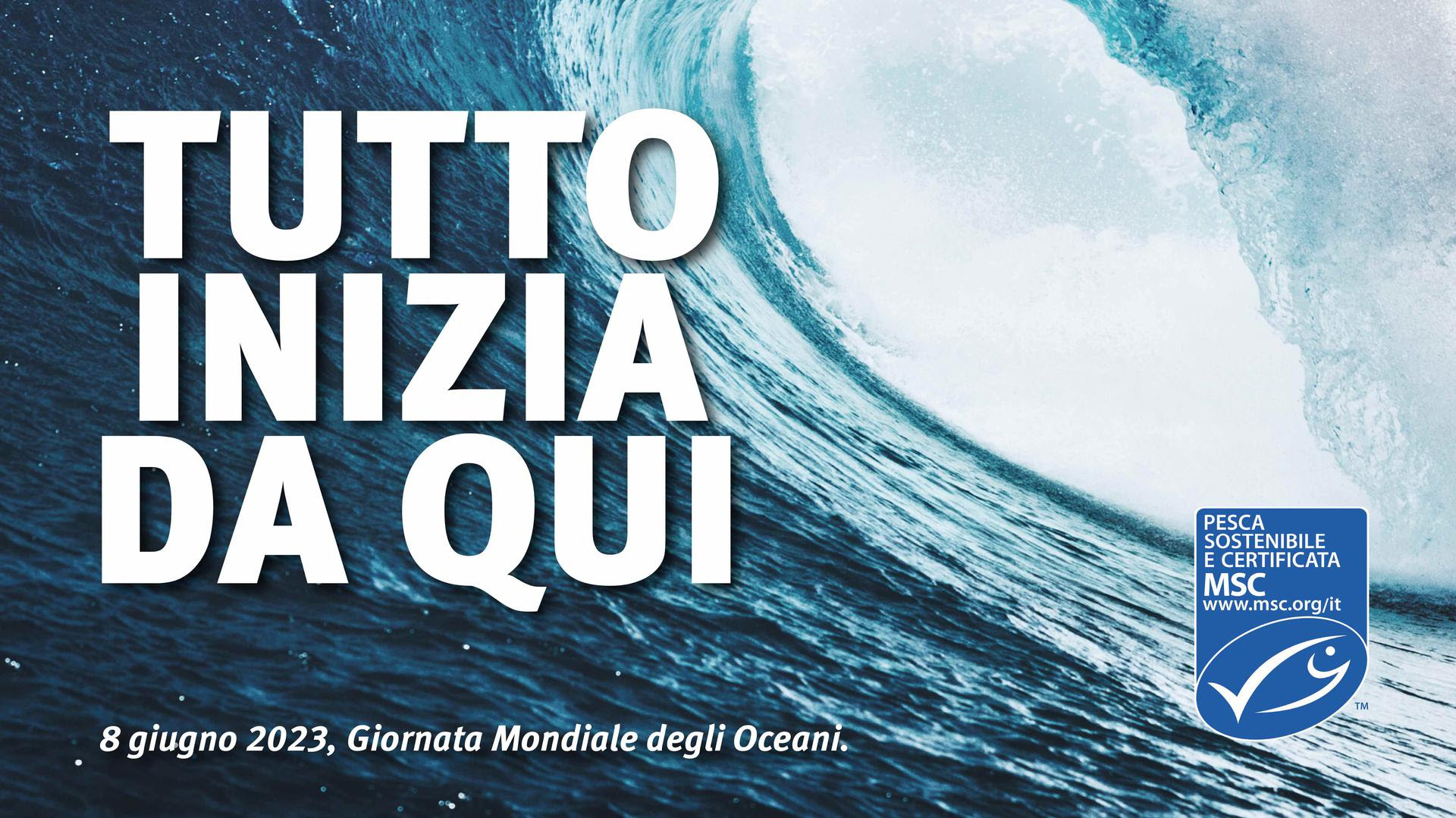 Giornata mondiale degli Oceani  8 giugno 2023, 10 ragioni per difendere il nostro patrimonio blu
