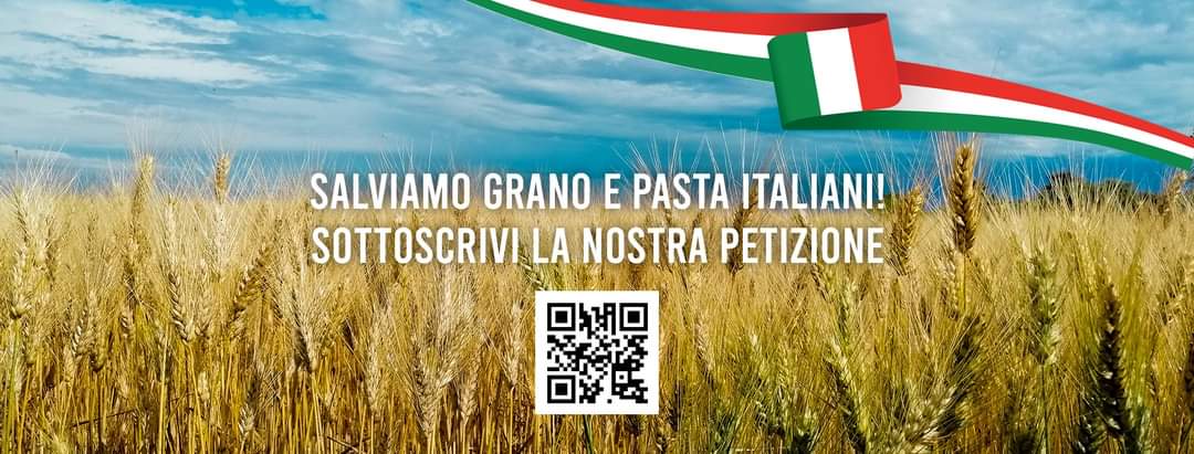 Grano-pasta, boom della petizione CIA verso le 50mila firme: “Le portiamo al ministro”
