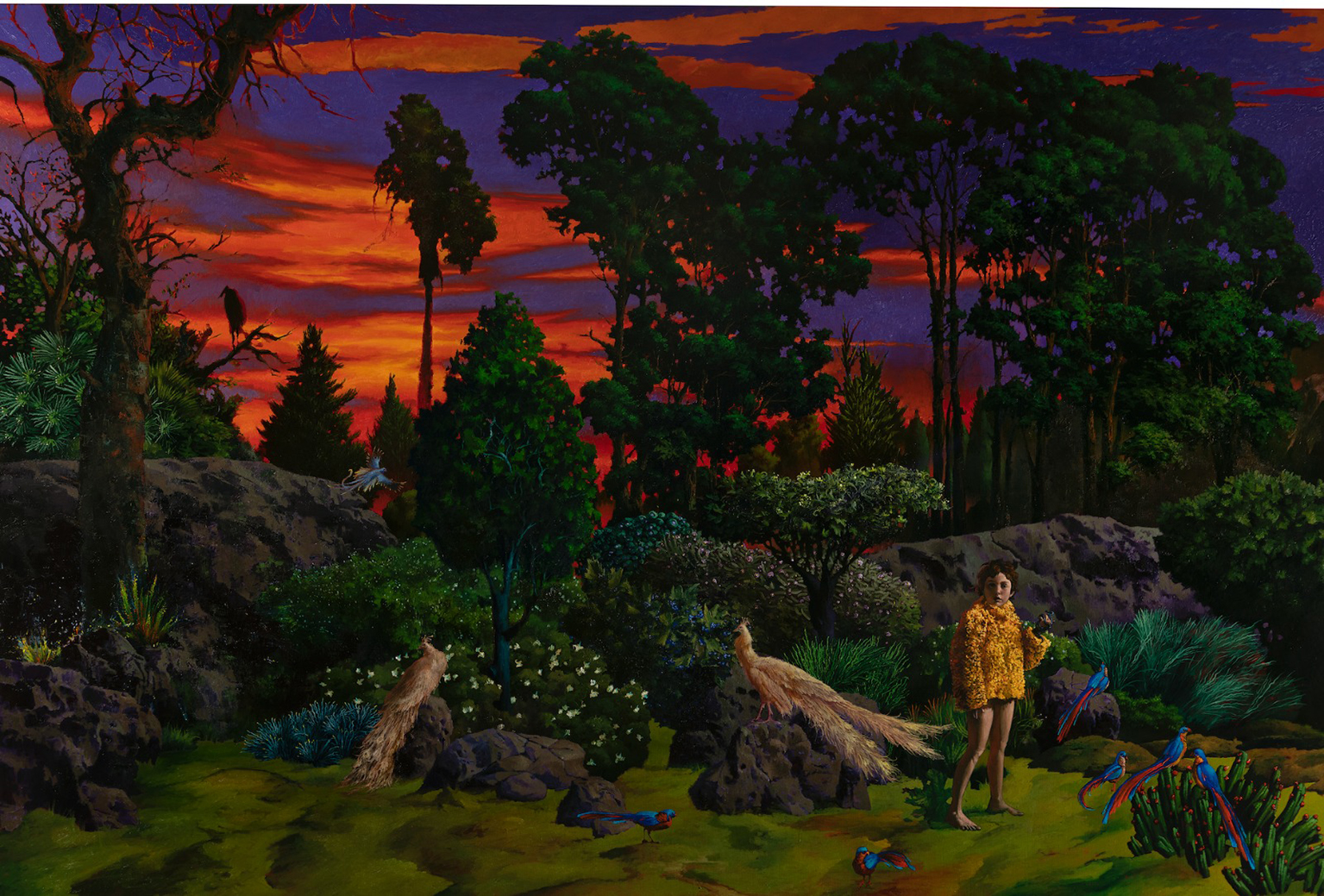 “MEDEA”: mostra d’arte contemporanea a cura di Demetrio Paparoni