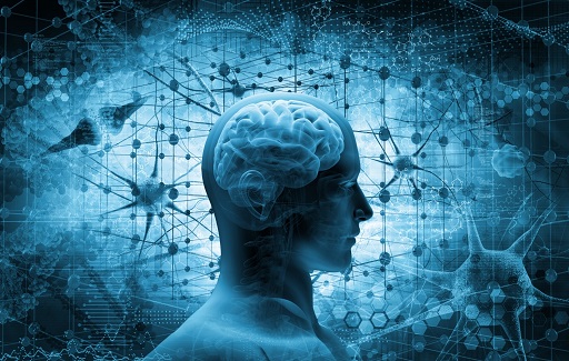 Epilessie rare, patologie neurologiche croniche ad alto impatto sociale