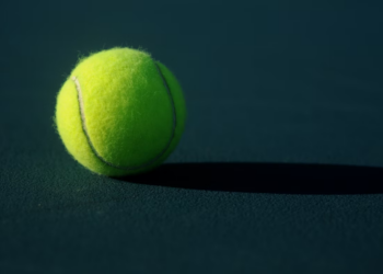 , il match è stato disputato da Isner