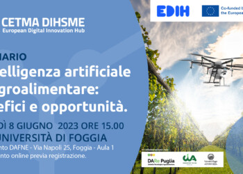 CETMA-DIHSME è l'European Digital Innovation Hub di Puglia e Basilicata, uno degli oltre 150 poli tecnologici territoriali nati in tutta Europa