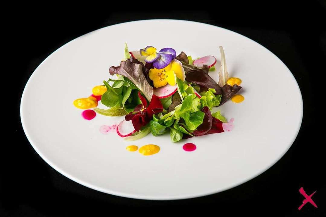 “Excellence Green”: l’evento sulla cucina mediterranea salutare e sostenibile