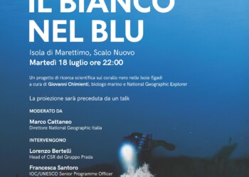 MARINO GIOVANNI CHIMIENTI