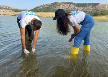 Goletta dei Laghi in Sicilia: promosse le acque dei bacini lacustri monitorati nell’isola