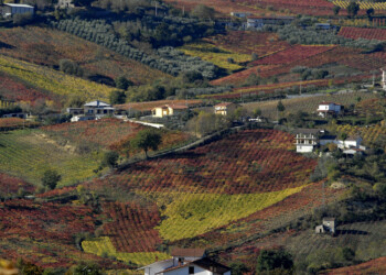 I vini del Sannio entrano nel  Palazzo delle Nazioni Unite