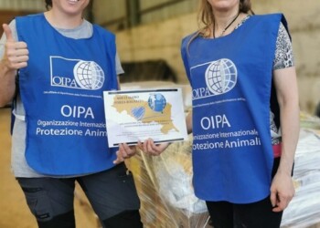 Emergenza meteo in Emilia Romagna. Nasce il coordinamento OIPA per i soccorsi agli animali