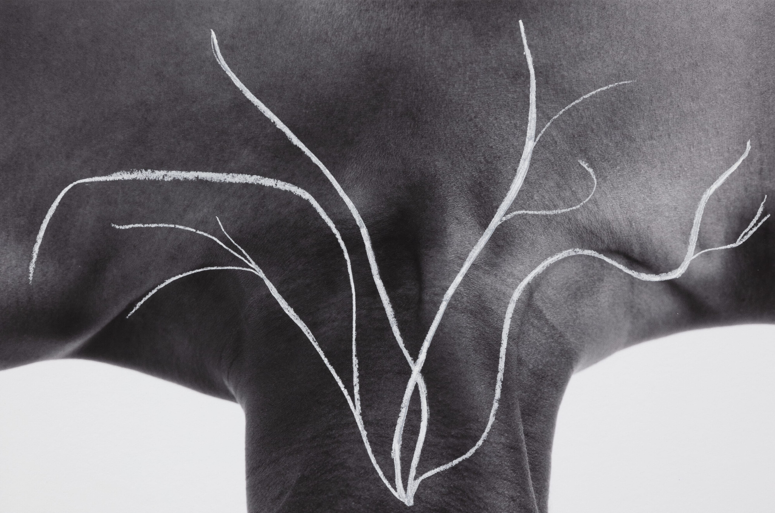 19° Giornata del contemporaneo promossa da  AMACI – Associazione dei musei d’arte contemporanea italiani                                                      ITALIANI