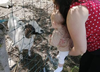 Sveva: mia figlia nata senza la mutazione ‘Jolie’, sarà libera