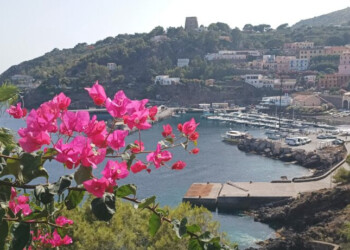 Ustum Cultural Programme