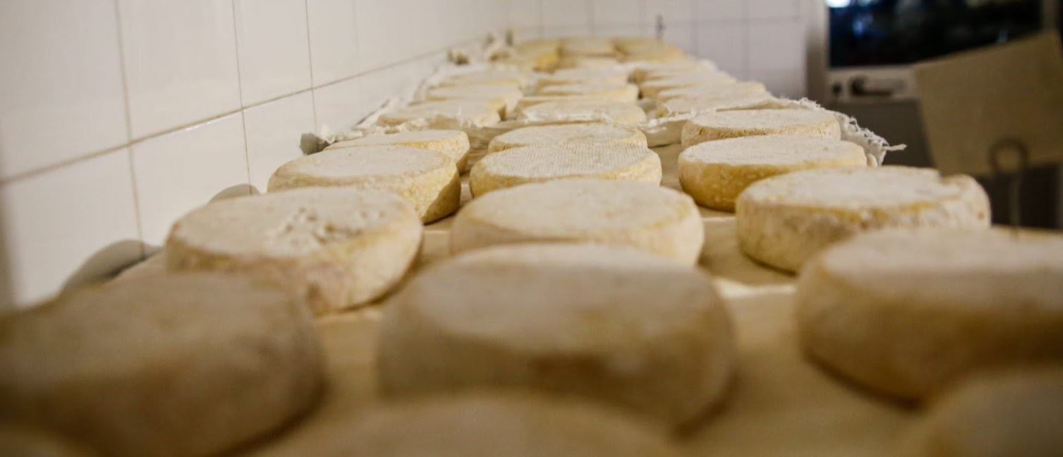 I formaggi delle Alte Terre piemontesi sbarcano in Campania e puntano alla conquista di Venezia