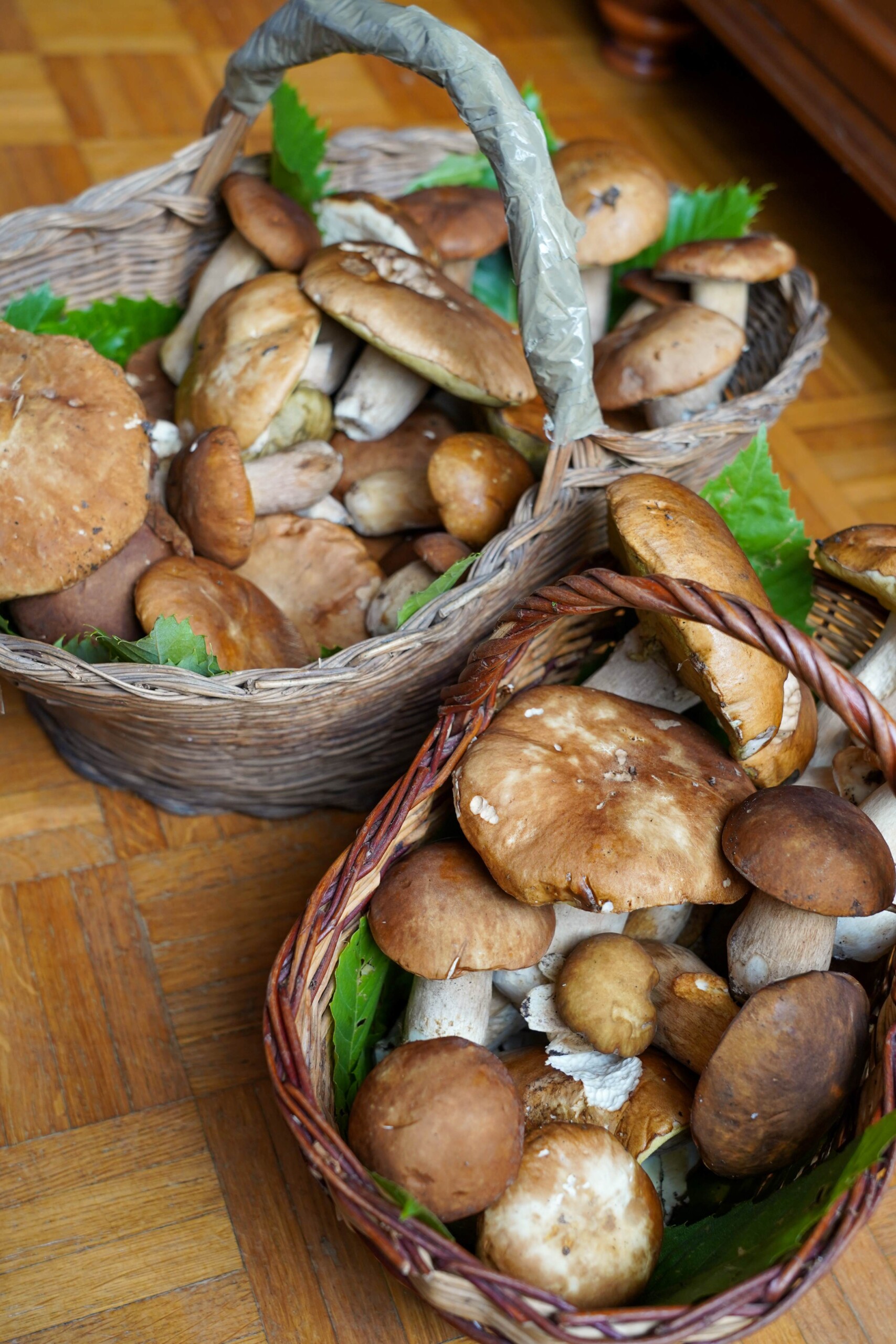 Al via il primo weekend della storica Fiera del Fungo Porcino IGP di Borgotaro