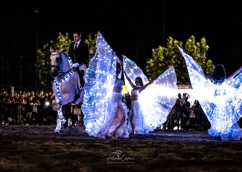 la sua storia e le sue professionalità.