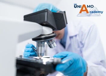 Federazione Italiana Malattie Rare