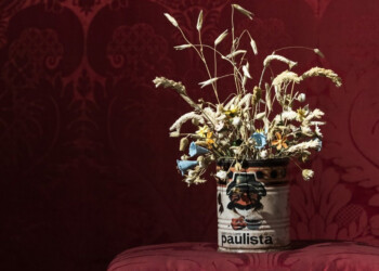 Diego Galizzi, direttore di Imola Musei