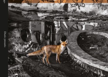 “Diario precario”. Nella poesia il mosaico delle vite vissute