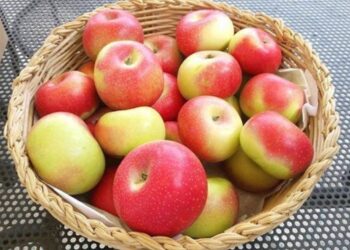 Mela Rosa: a Montedinove è la regina del prossimo weekend