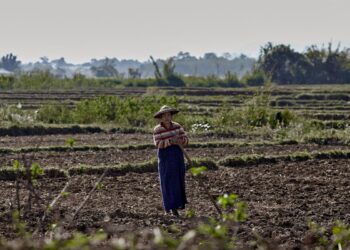 Fame drammatica in 43 Paesi: nessun progresso dal 2015 e sempre più persone malnutrite, sono 735 milioni