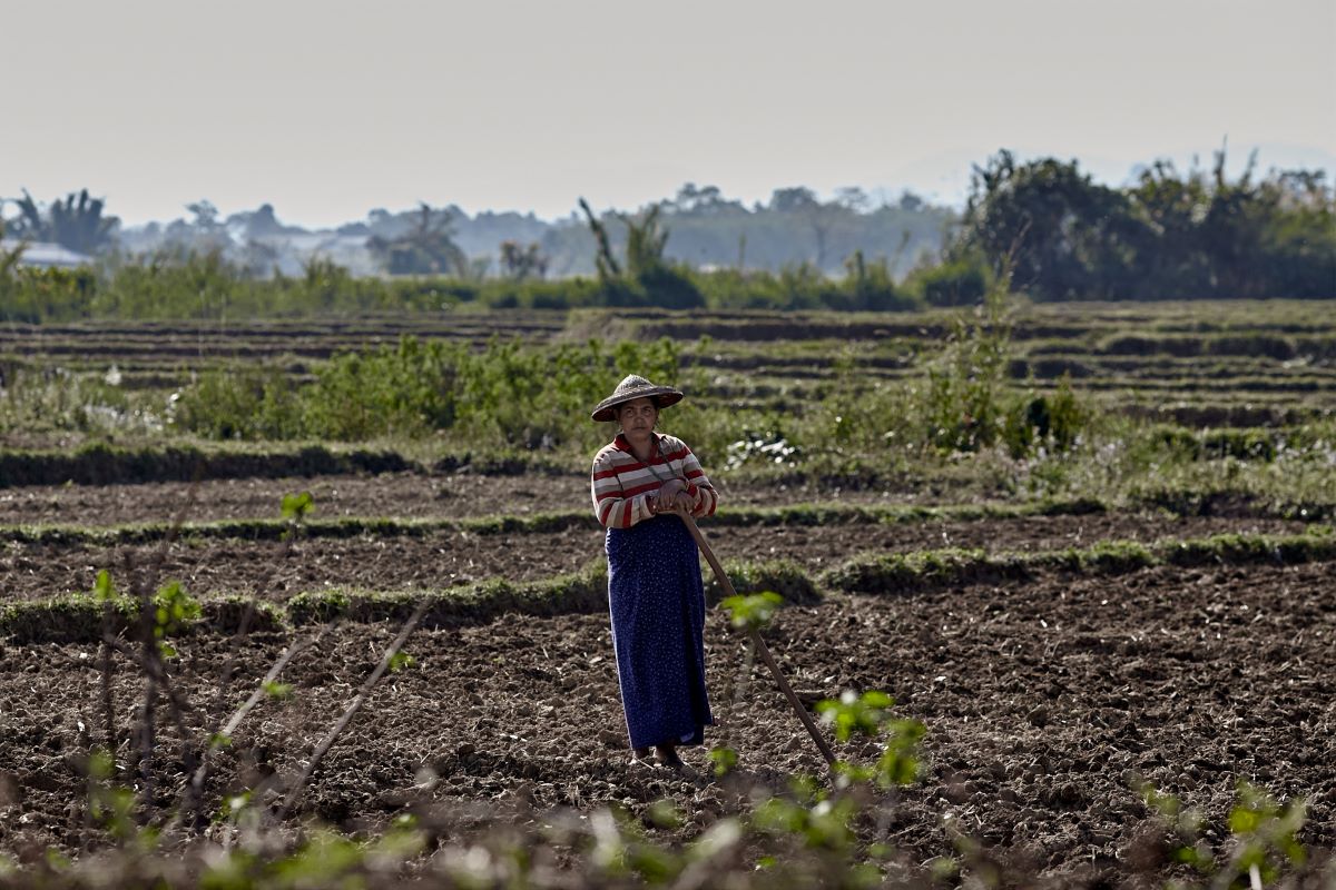 Fame drammatica in 43 Paesi: nessun progresso dal 2015 e sempre più persone malnutrite, sono 735 milioni