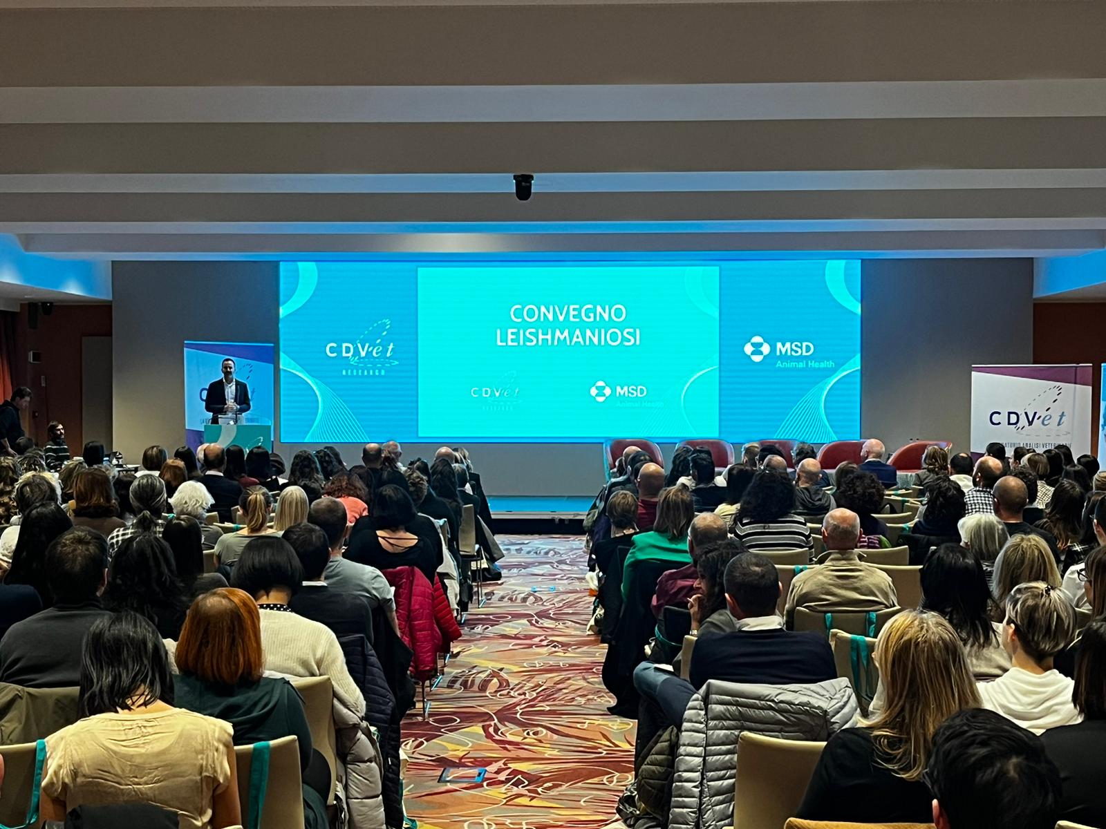 Leishmaniosi nel cane, nel gatto e nell’uomo: proteggere i nostri animali significa proteggere noi stessi