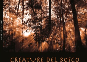 Con le “Creature del bosco” un viaggio nella profondità dell’essere