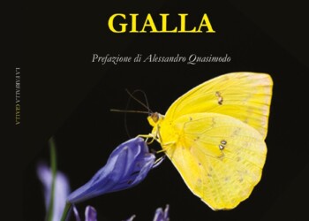 “La farfalla gialla”. Tra sogno e realtà: volare con la poesia verso l’infinito