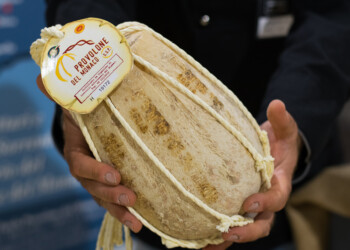 Consorzio Giosuè De Simone