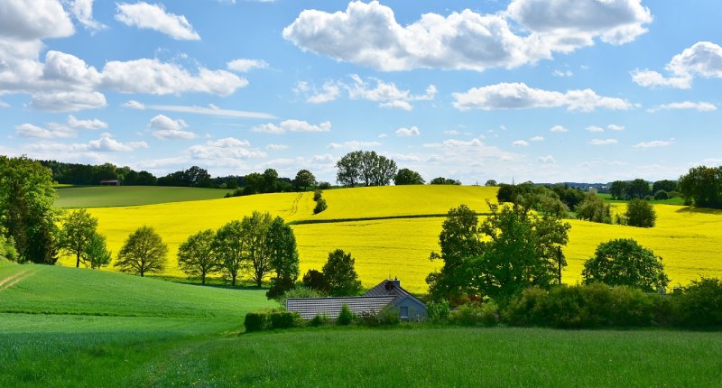 Il 5 dicembre è la Giornata mondiale del suolo: per Slow Food chimica e cementificazione sono una minaccia per la sua (e la nostra) salubrità e per la biodiversità