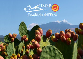 Il Consorzio di tutela del Ficodindia dell’Etna DOP è realtà