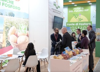 Grande successo al Marca per la patata del Fucino IGP fonte di fosforo