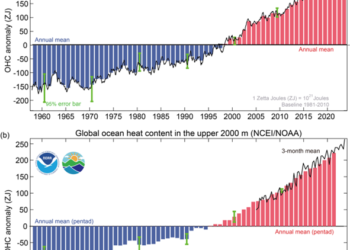 Nel 2023 la ‘febbre’ dell’oceano ha toccato un nuovo record
