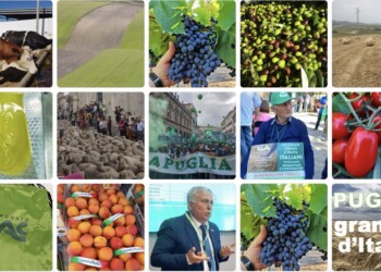 Agricoltura, la Puglia in un anno ha perso 2.233 imprese