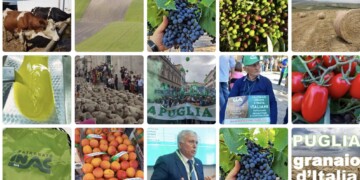 Agricoltura, la Puglia in un anno ha perso 2.233 imprese