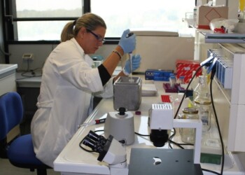 Giornata internazionale delle donne e delle ragazze nella Scienza