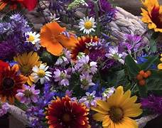 San Valentino: Coldiretti, fiori Made in Italy salvano 200mila agricoltori
