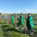 Vino Connect Sicilia: dai banchi alle vigne, il futuro della filiera passa dalle nuove generazioni